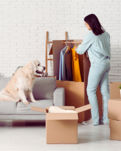 moving with pets